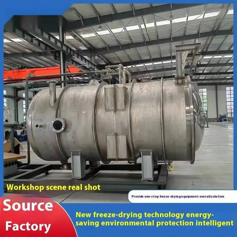 Seaweed Vegetable Tomato Egg Drop Soup Drying Equipment Instant Food Freeze Dryer Fully Automatic Freeze-drying Machine