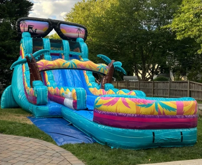 Commercial Inflatable PVC Water Slide Double Track Shark Customized Color Pool Outdoor Party for Sale 12-Person Capacity 3-Year