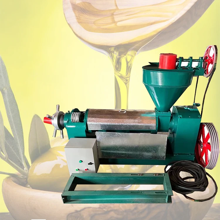 60kg 80kg CE Promotion Factory Price Virgin Coconut Oil Expeller Press Machine Small Oil Extractor Palm Oil Press