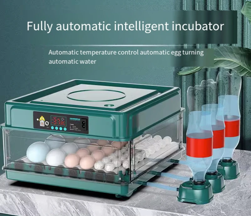 Incubator Small household type automatic intelligent water bed incubator Rutin chicken  Egg incubator