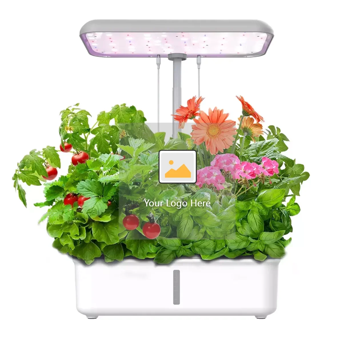 Smart Wifi hydroponics growing system indoor garden Chili Parsley vegetable auto water pump irrigation hydroponics grow lights