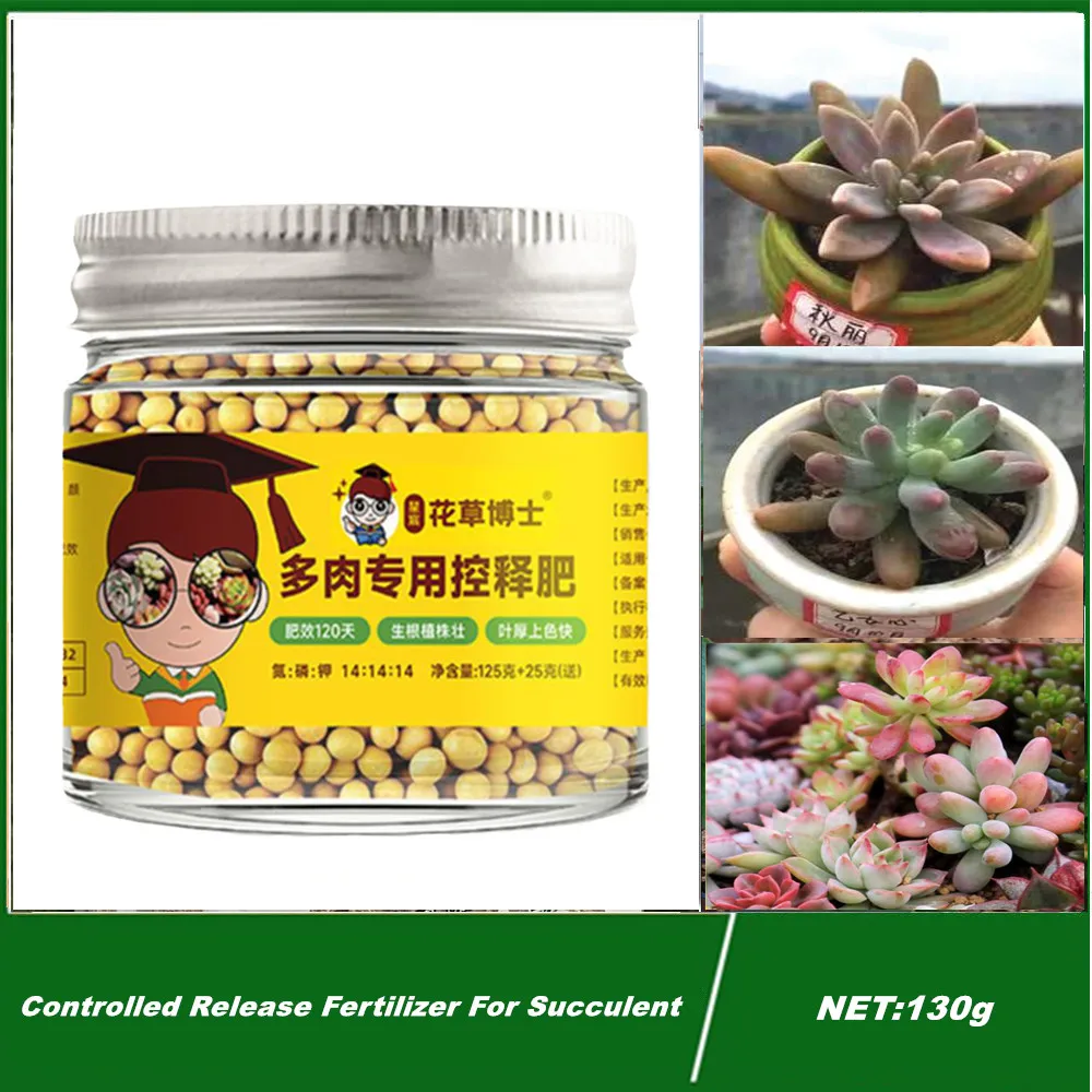 

130g Special controlled release fertilizer for succulent plants Universal N-P-K nutrition for domestic potted flowers and plants