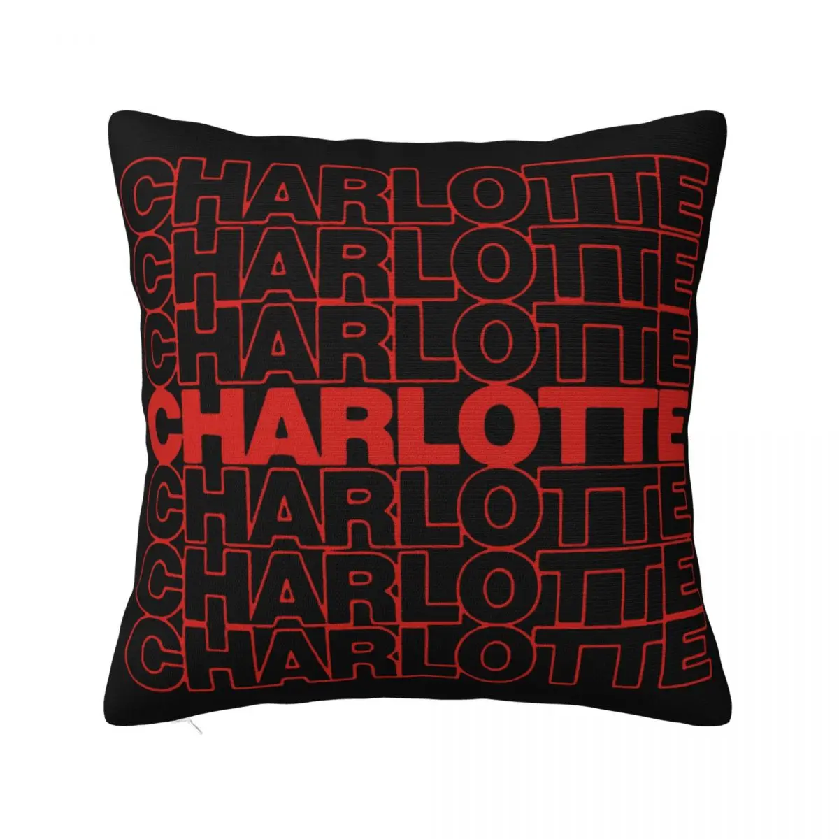 Black Live Matter Charlotte Swag Interested Pictures Aesthetic Beautiful Girl Humour Summer Style Stylish Pillow Case