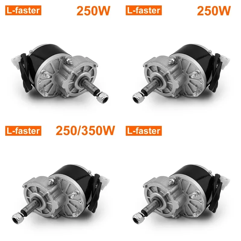 for Wholesale Bicycle Modified Electric Vehicle Motor 12V 24V 250W Tricycle Motor Gear Motor
