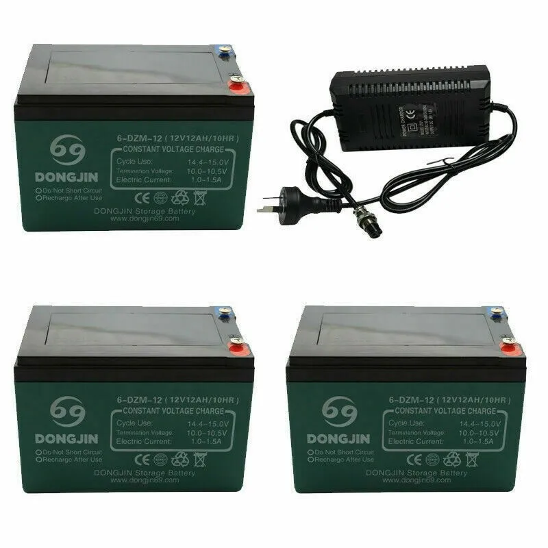 3Pc 6-DZM-12 12V 12…