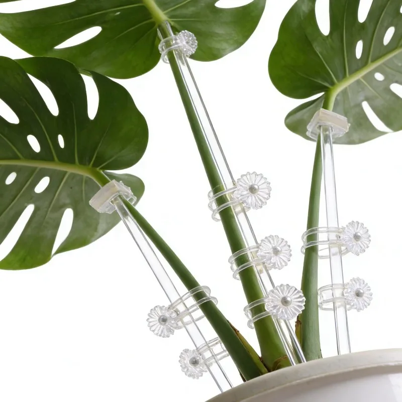 Estaca de Soporte Transparente Reutilizable para Flores, Estacas Acrílicas para Plantas, Varillas Transparentes para Jardín, Varillas de Fijación para Orquídeas en Maceta, Estructura de Soporte para Plantas Trepadoras