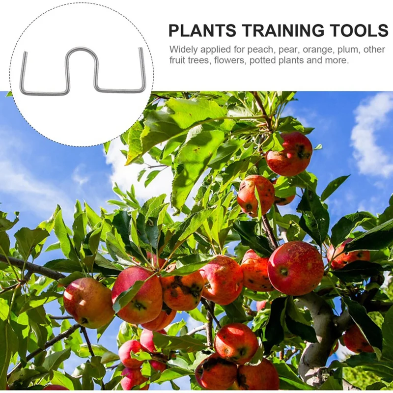 Extracteur de branche d'arbre fruitier de porc, machine à attacher, outils de ferme, nouvel outil de cintrage de branche de nervure à angle ouvert de prunier