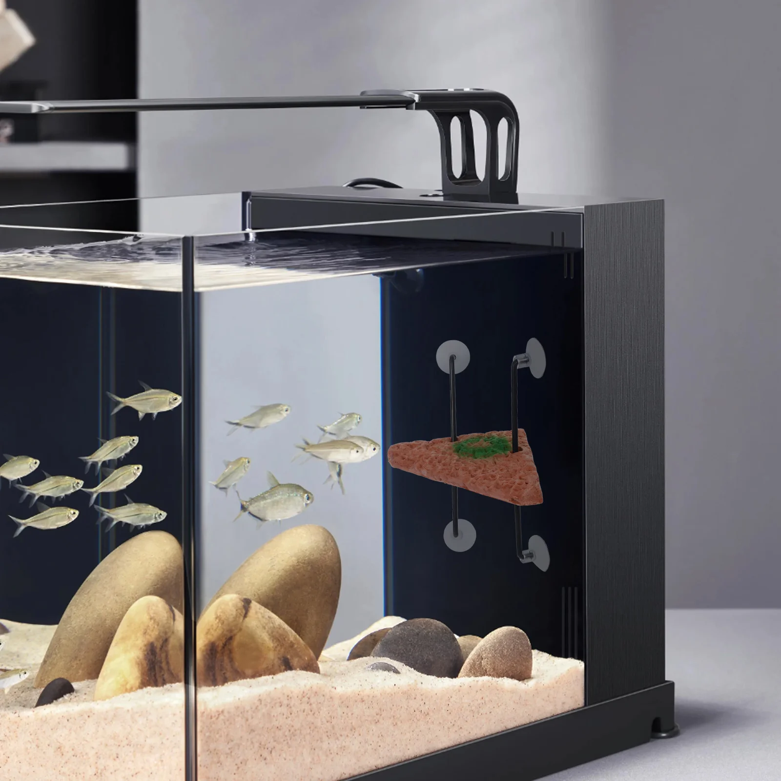 

Turtle Floating Aquarium Platform Non-Pollutant Tortoise Terrace Fish Tank Ornament Floating Bask Island Pet Aquarium Decor