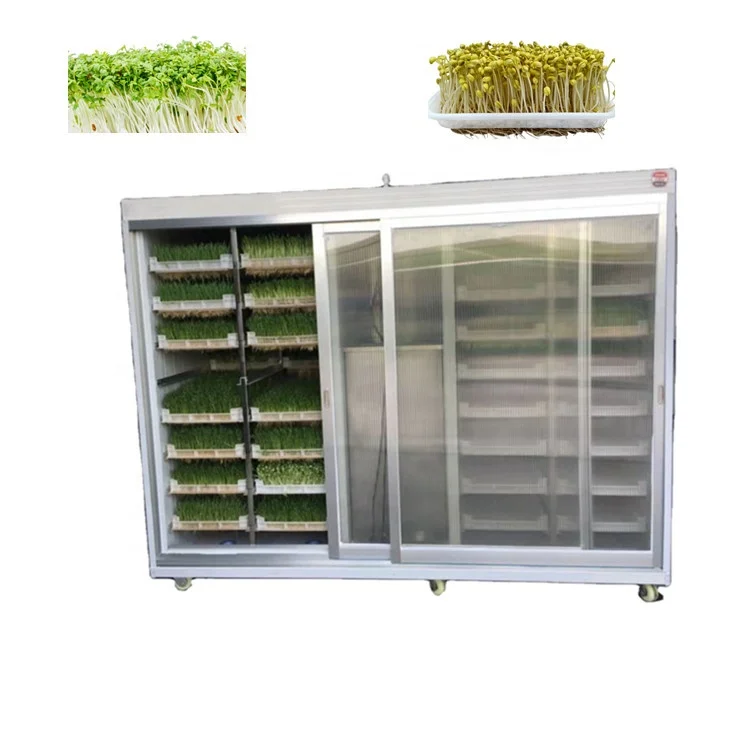 Commercial constant temperature mung bean sprout machine sprout growing machine