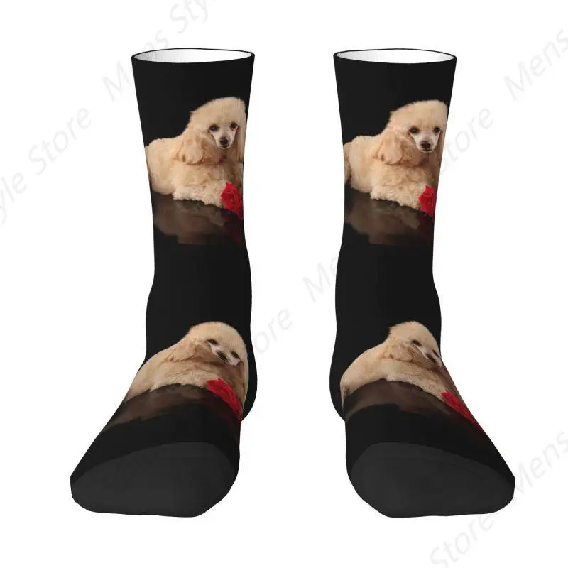 Poodle Dog With Rose Flower Men Women Crew Socks Unisex Fashion Animal Pattern Spring Summer Autumn Winter Dress Socks