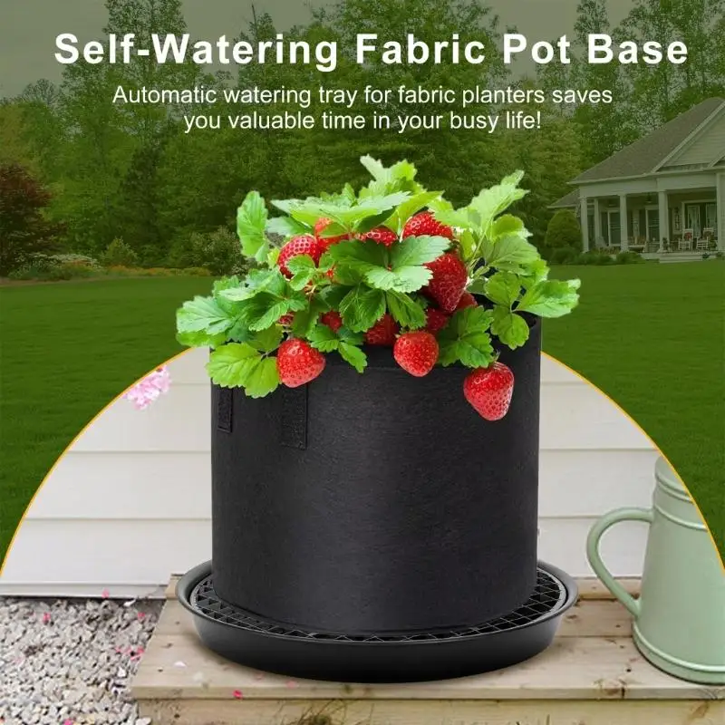 Moisturizing Plant Grounds for Fabric Bowls with Automatic Irrigation Structure and Permanent Black Polystyrene Building for