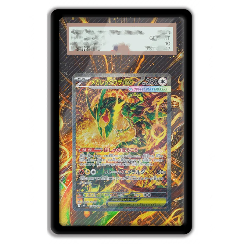 Anime Art Display for Pokemon  - đánh giá và giá Gaming Console Case