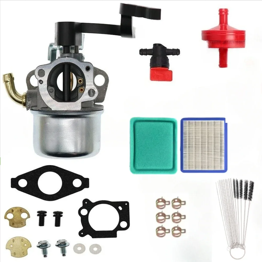 NEW Carburetor for Briggs & Stratton 698479 591925 698475 693518 With Gaskets