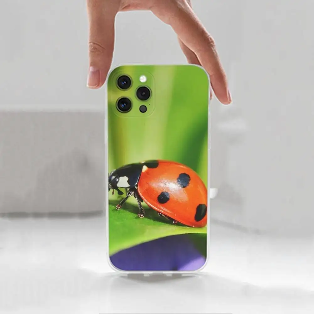 Funda de teléfono con forma de mariquita y insecto para iPhone 16,15,14,13,12,11 Plus,Pro,Max,XR,XS,X,7,8 Plus,SE,Mini, transparente, funda de silicona
