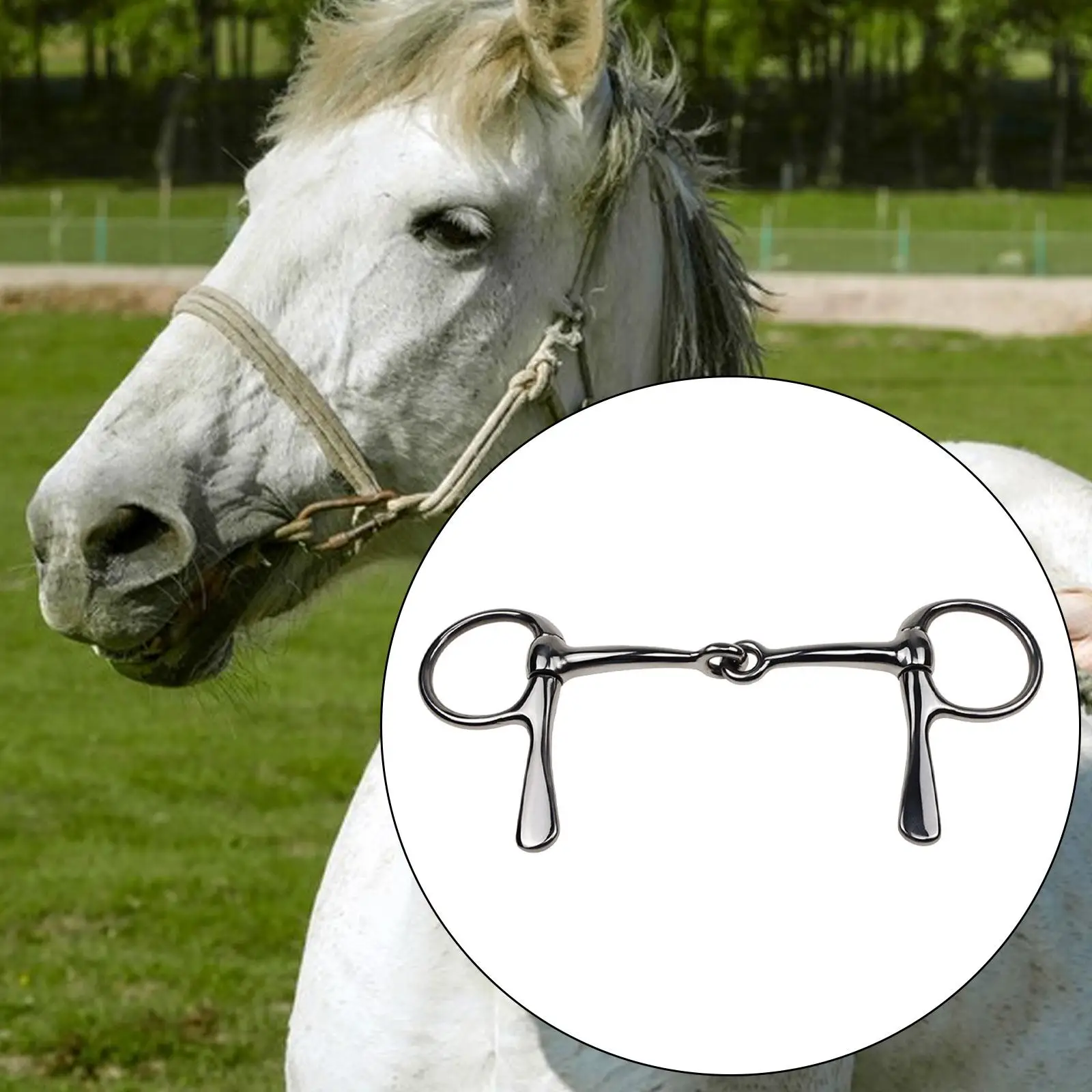 Horse Bit Mouth Snaffle Bit Stainless Steel Western Harness Horse Training Tool