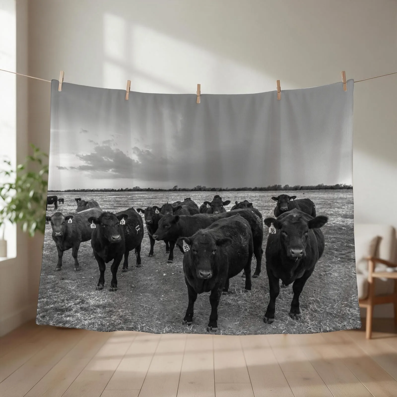 Hanging Out - Angus Cows Gather as Storm Brews in Kansas Throw Blanket Luxury Throw Cute Plaid warm winter Luxury Brand Blankets