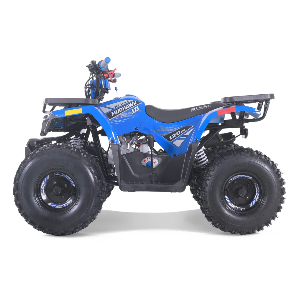 Tao Motor 2024 New Cheap Farm ATV Automatic Chain DriveQuad  Kids 110cc ATV