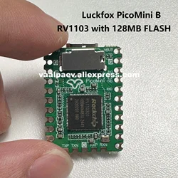 Pico Mini B Utilizes RV1103 with 64MB of memory with 128MB of flash For 9.0 to 11.0 Tool GoldHEN
