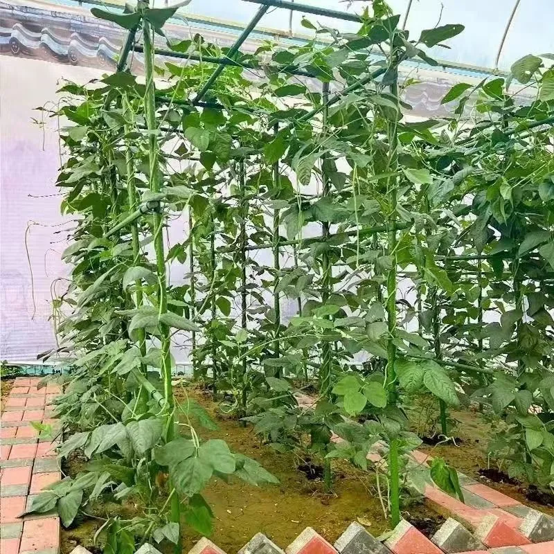16600mm Plastic Coated Steel Plant Support Stakes, Heavy Duty Metal Grow Support Poles for Cucumber Vine Trellis  H0983