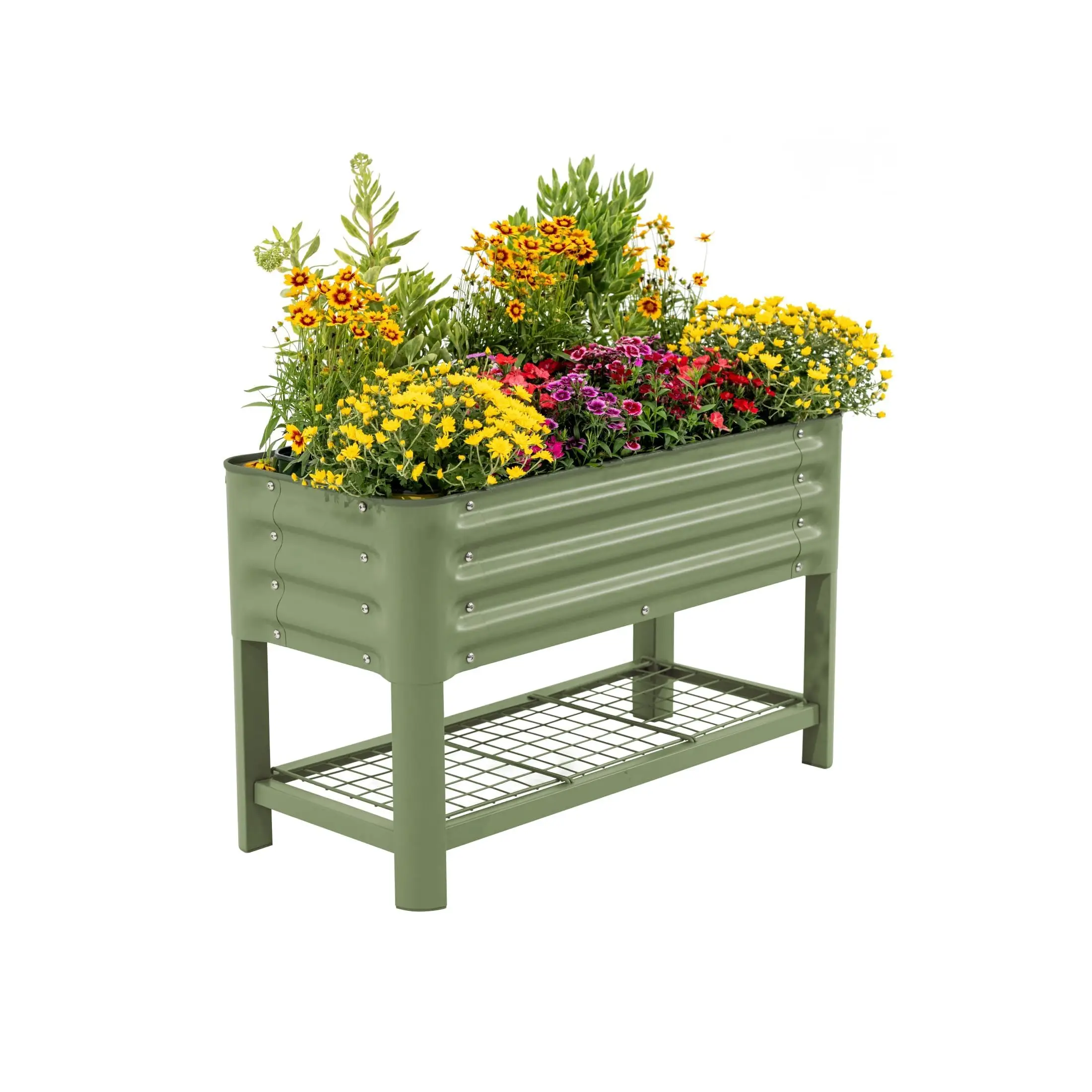 Elevated Raised Garden Bed for Kids Toddler, 16