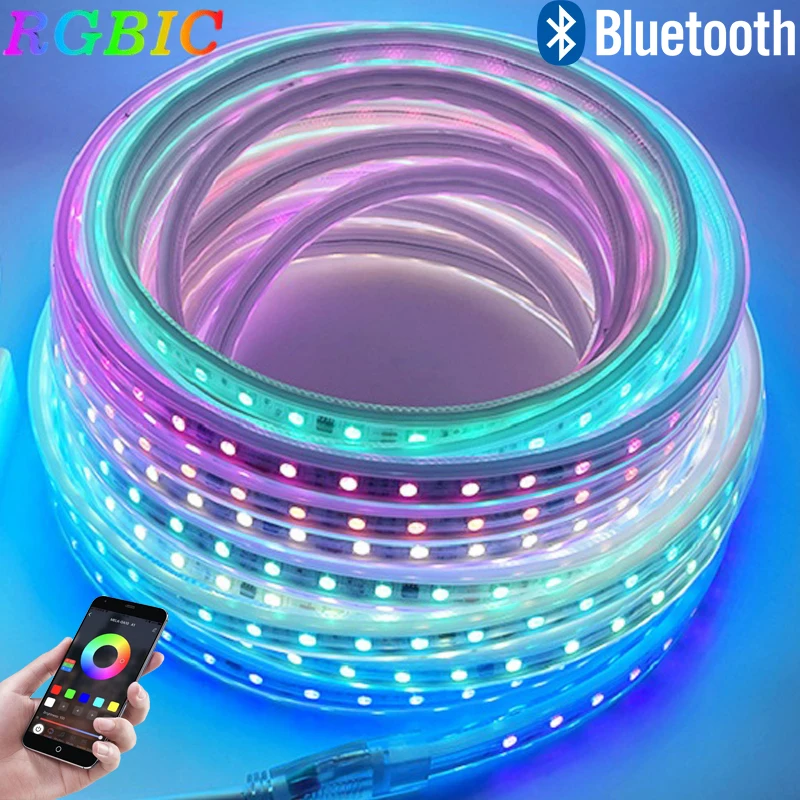 

110V 220V Smart Bluetooth LED Strip Light Dreamcolor RGB Tape Remote Control Led Ribbon IP67 Waterproof Outdoor Lighting Decor