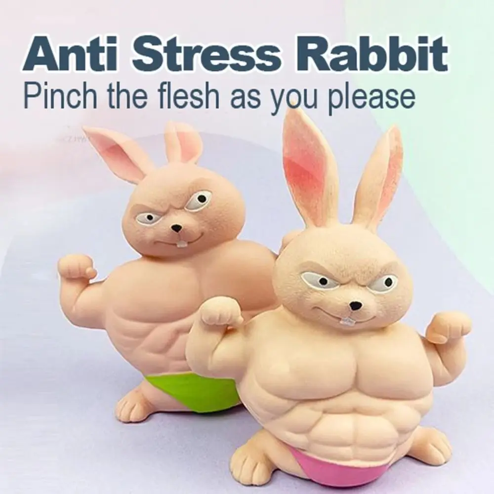 

Funny Muscle Rabbit Vent Squeezing Toys Plastic Relaxed Slow Risings Fidgets Toy Interesting Cute Animal Squeezing Toy Children