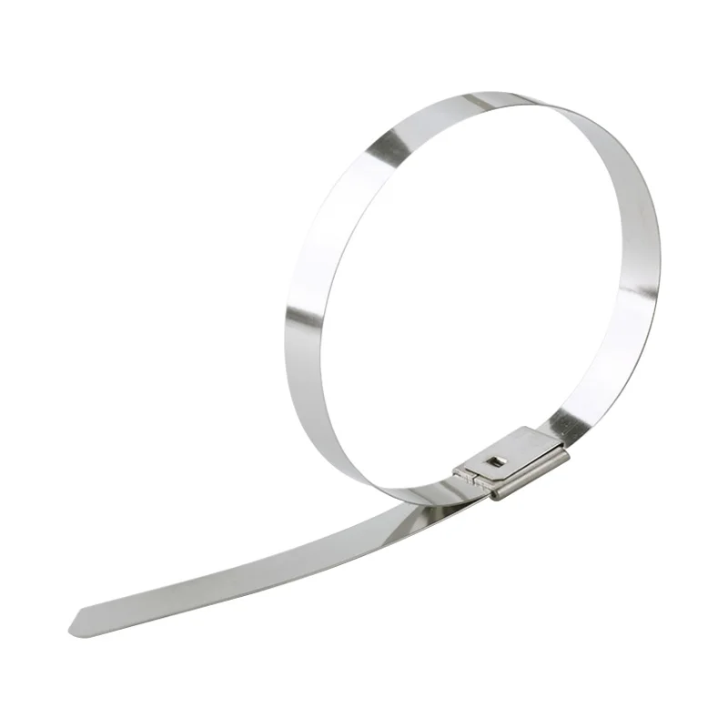 10pcs Multifunctional Metal Cable Ties 7.9mm Stainless Steel 304 Zip-Exhaust Locking Cable Tie 150 - 500mm image 2