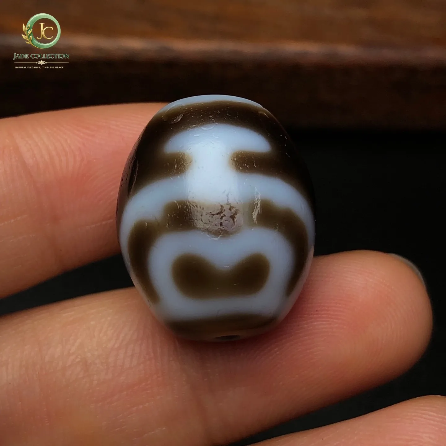 Rare Tibetan Buddhism Agate Aquarius Dzi Bead Amulet Necklace Pendant Z1940