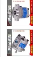 Gear pump CBW-F314/F316/F320-ALP/AFP/CLP/CFPL hydraulic pump HCHC.1PCS