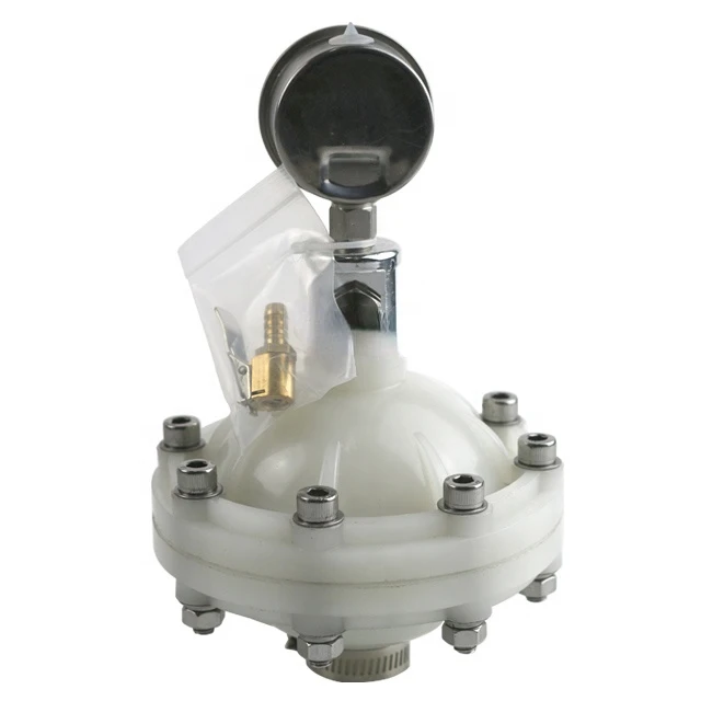 0.6L PVDF Material Diaphragm Pulsation Damper for Metering Pumps