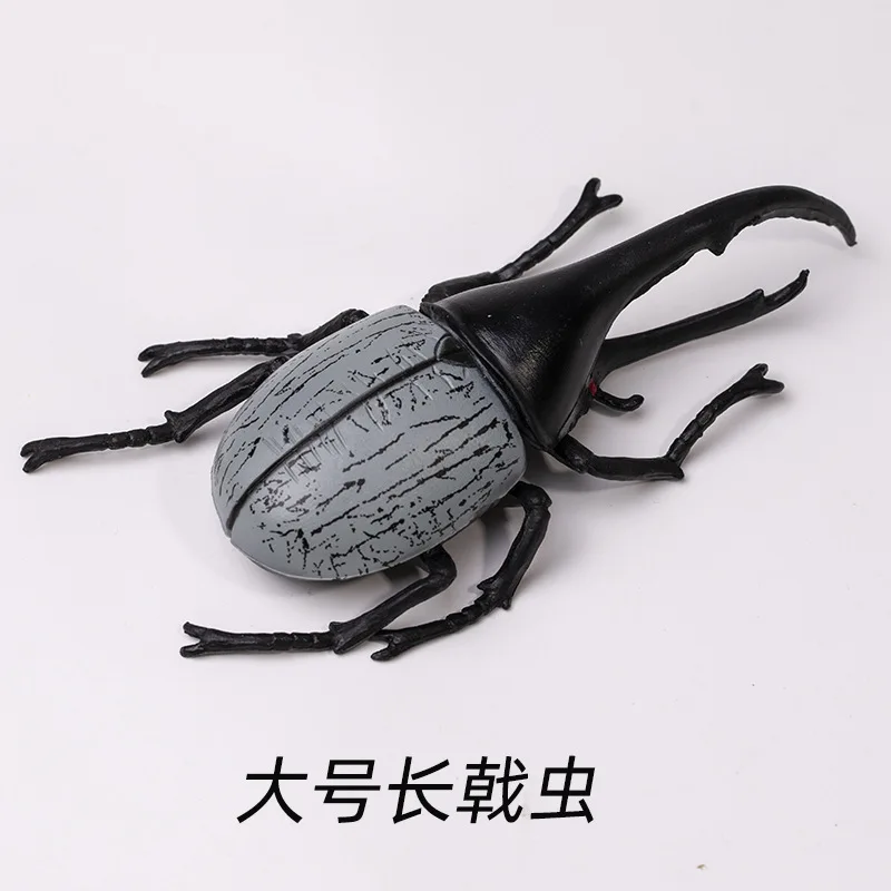 Realistisch insectenmodel: Langhoornbij, wetenschappelijke kever, actiefiguren, Dynastes, wild insect, levensechte insectfiguren