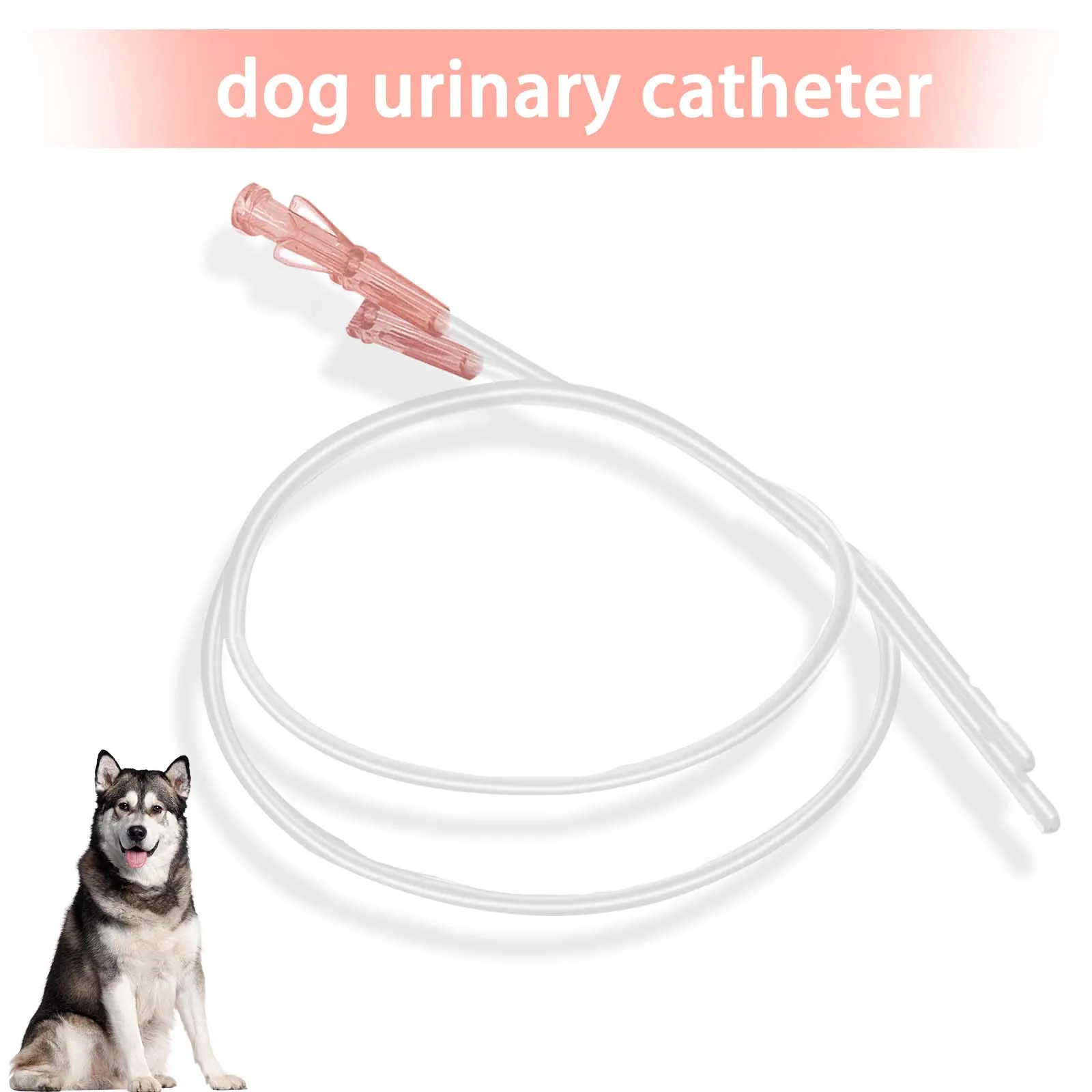 Pet catheter Dogs and canine use disposable sterile catheters made of hard materials with multiple specifications  10pcs