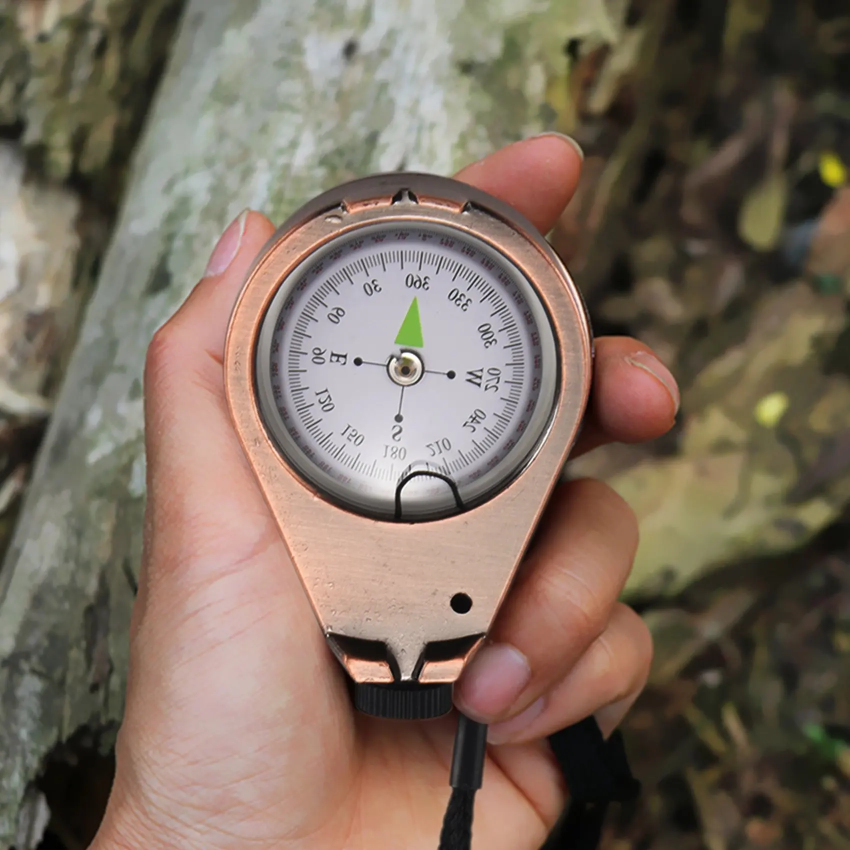 Abhs-Compass Classi…