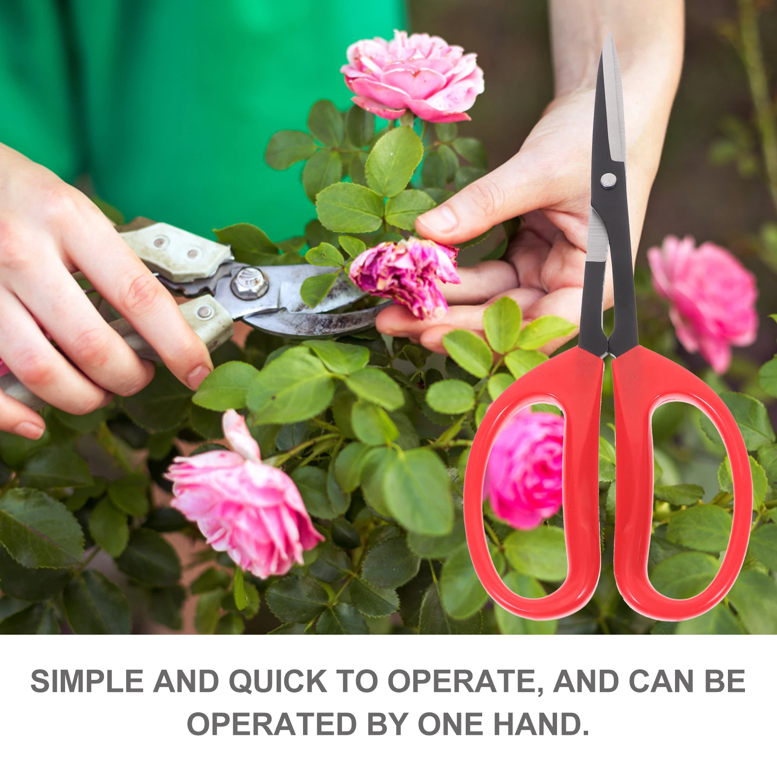 

Practical Flower Shear Gardening Pruning Tool Durable Stainless Steel Bonsai Scissor Non-skid Handle For Plants Trimming