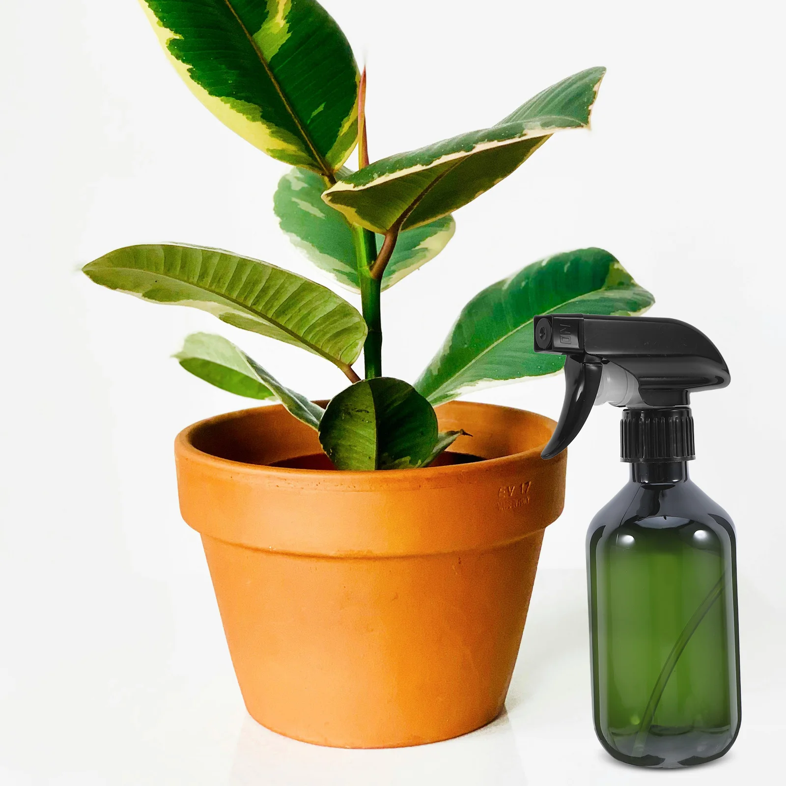 

2 Pcs Clear refillable spray bottle garden plant Sprayer Handheld Mist Empty Bottles for Cleaning Plant Atomizer hair Sprayer