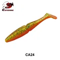 CA24