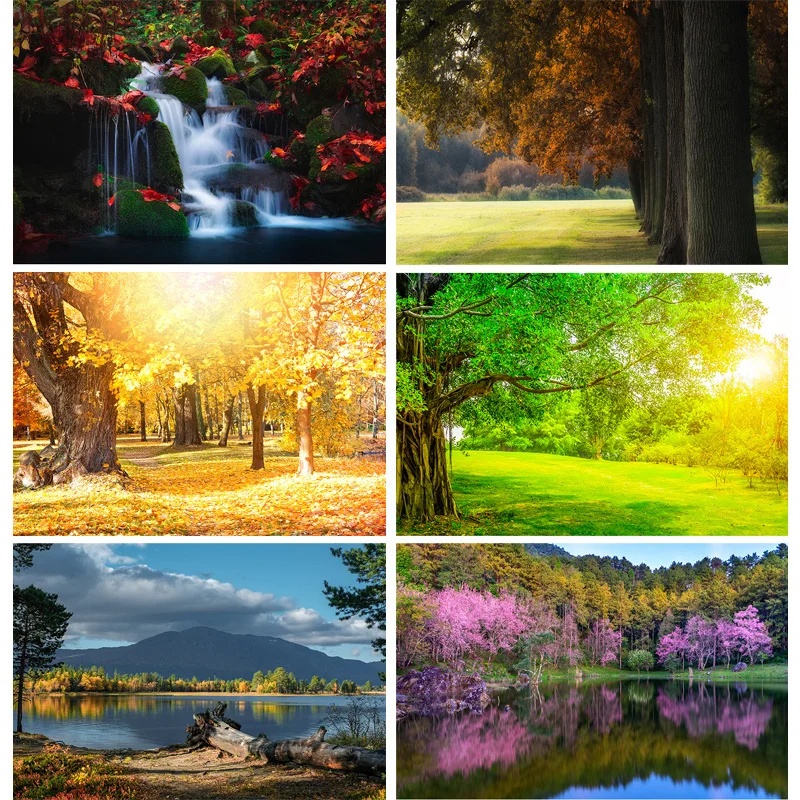 Natural Scenery Photography Background Forest River Landscape TravelPhoto Backdrops Studio Props  21929 BNM-03