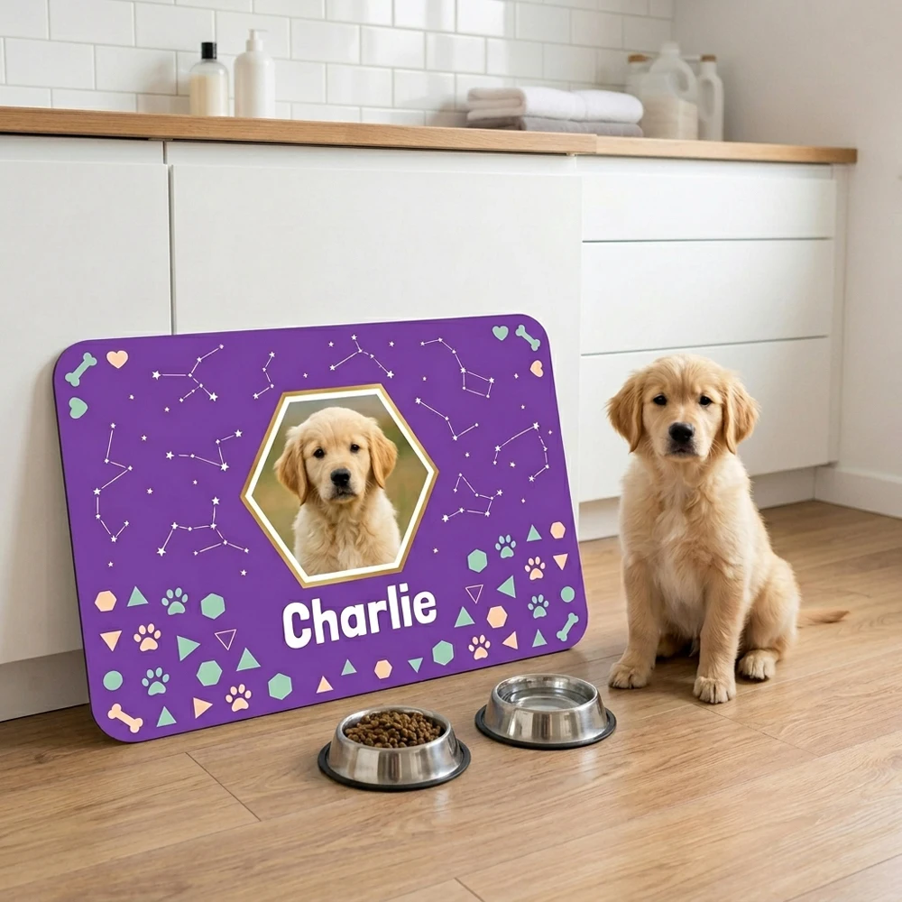 Custom Personalized Pet Feedin - огляд і ціна Pet Supplies Wash Station