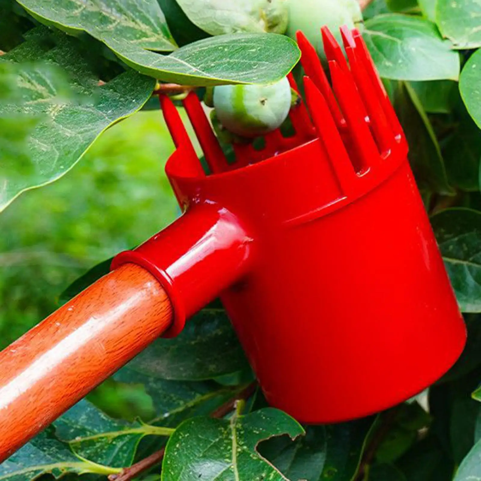 Practical Fruit Picker Compact Handheld Fruit Picker for Easy Small Fruit Harvest Agriculture