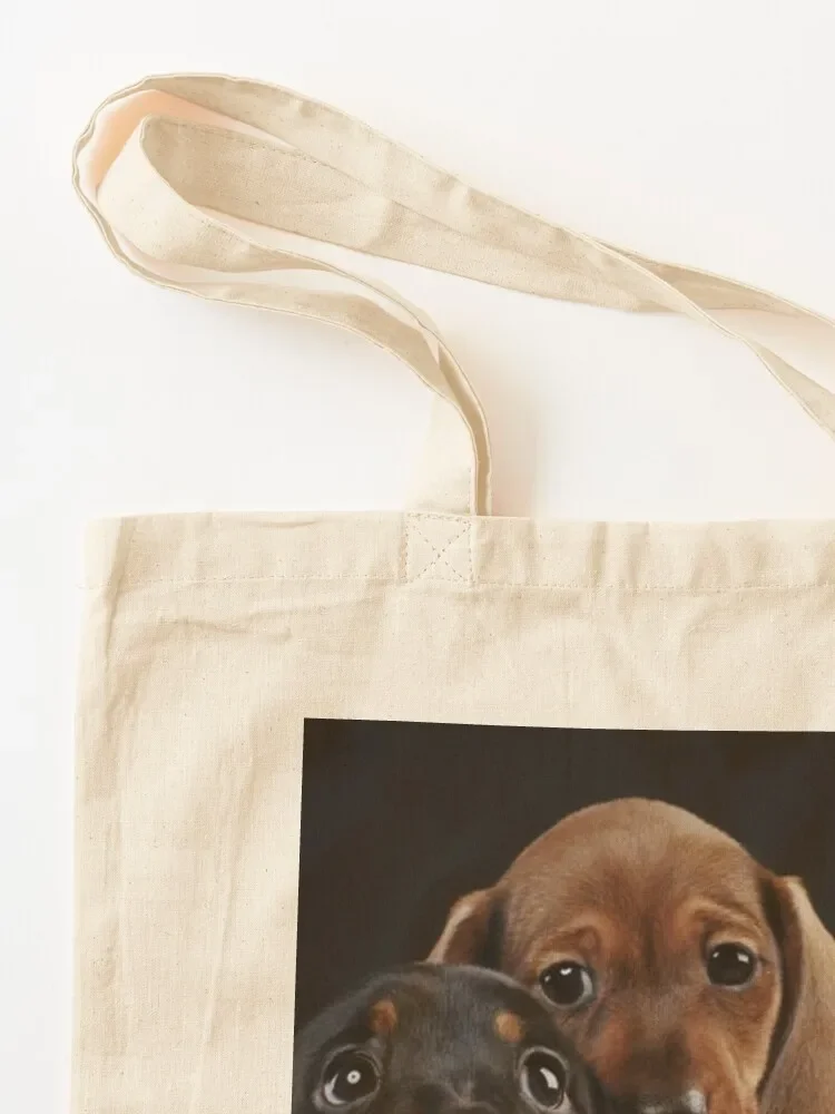 Dachshund Dog portrait photo pupies Tote Bag women bag ecological bags custom bags Cloth bags