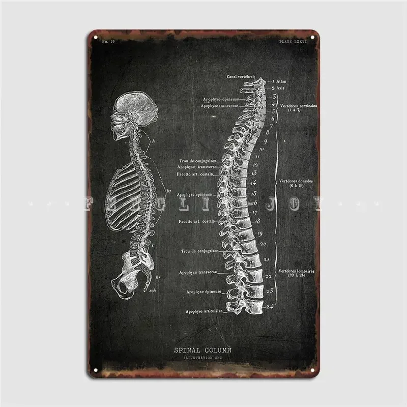 Spinal Column Poster Metal Plaque Club Party Living Room Retro Wall Plaque Tin Sign Poster