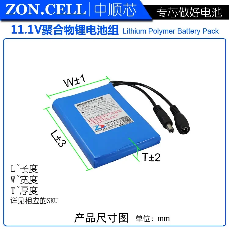 CIS 코어 폴리머 리튬 배터리, 3000 Ma 11.1V, 3AH 알람 스퀘어 댄스 사운드 배터리, 12V