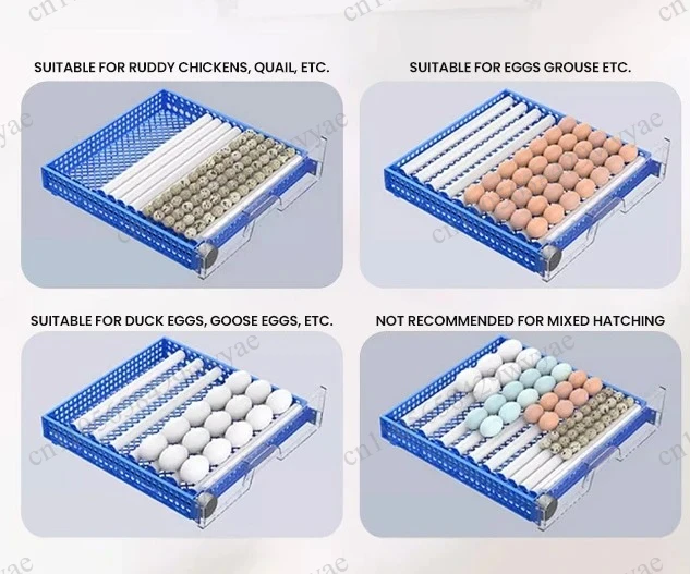 340 Eggs Capacity Automatic Incubator Dual Power Supply Auto Egg Turning for Chicken Duck Quail Pigeon