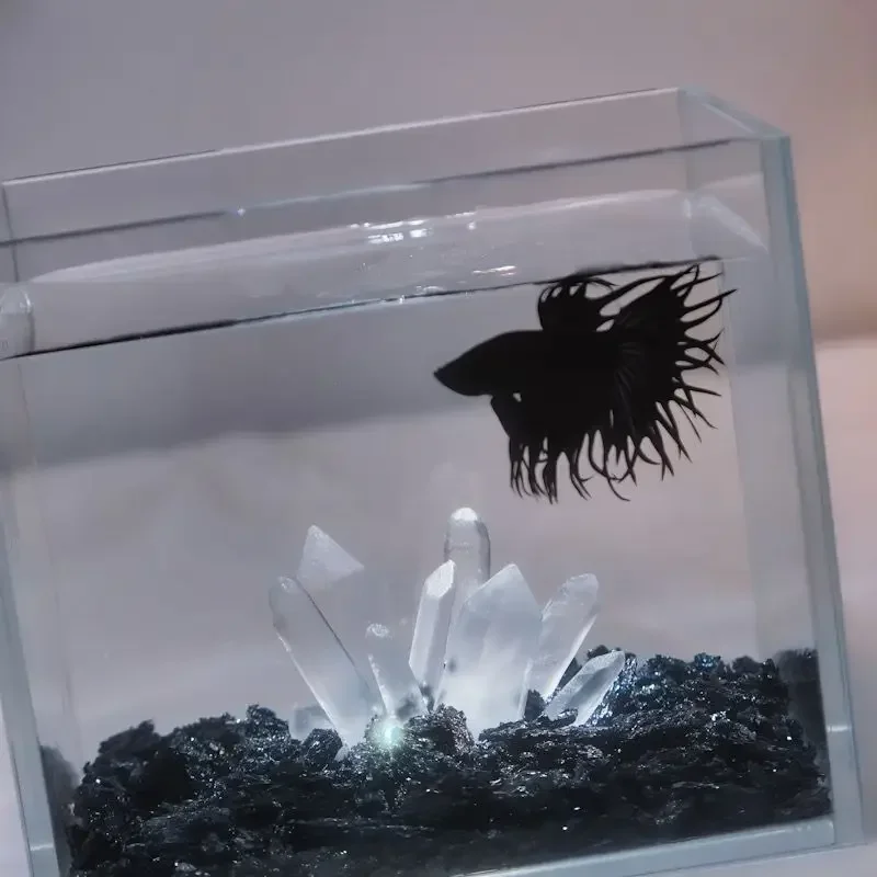 Creative Betta Tank Decor Clear Crystal Column Fish Tank Landscaping Ornaments Fish Shrimp Cave Shelter Aquarium Accessories