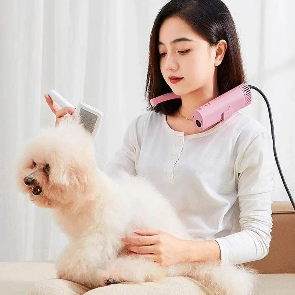 High-power Negative Ion Pet Hair Dryer Silent Beauty Bristles Quick Blowing Hanging Neck Portable, Universal For Cats And Dogs