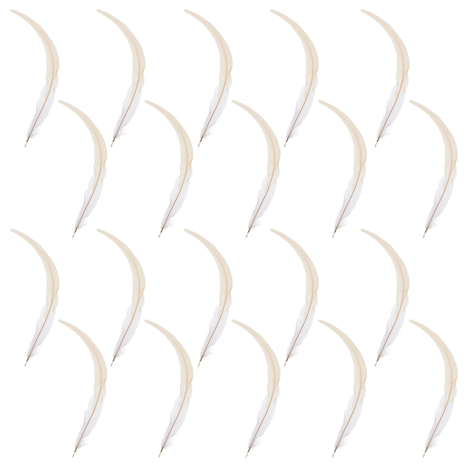 

50Pcs Natural Tail Rooster 33-40Cm Light Luster for DIY Craft Hat Decoration Clothing Accessories Handmade Home Decor