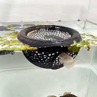 Aqaurium Floating Cave Fish Shrimp Hideout Shelter 3-in-1 Hammock Feeding Ring & Resting Spot for Betta Small Aquatic Pets