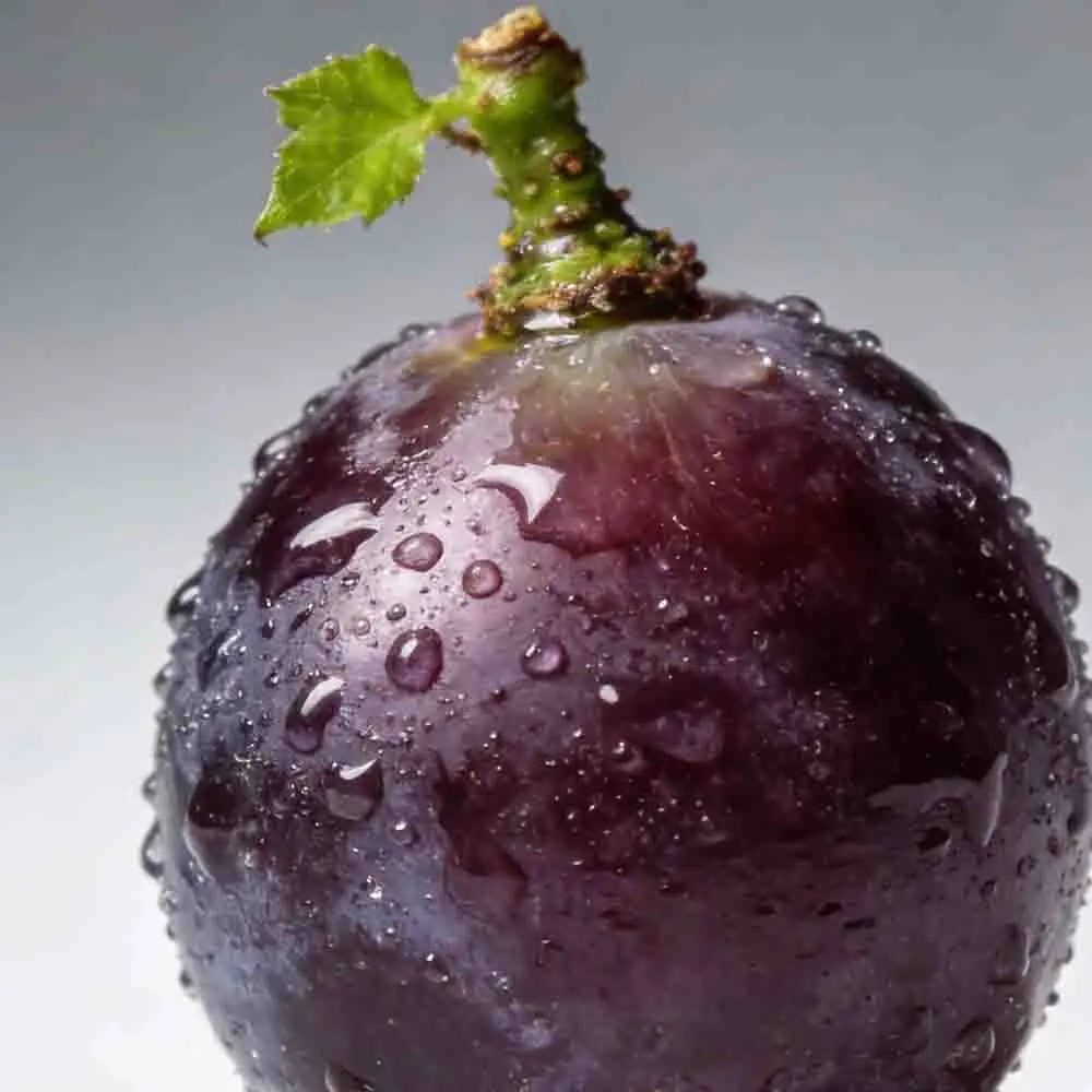 

SkyRC NC3000 Pro NiMH NiCd Battery Charger PD/QC AA/AAA Smart Battery Charger 4-slot LED Screen APP Control Charger RC Parts