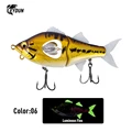 BASS 06