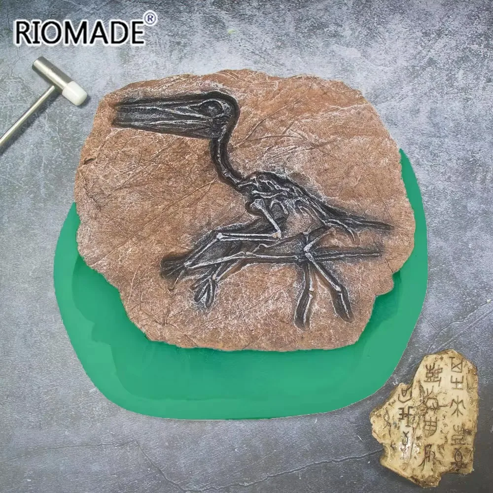 Pterosaurier-Fossilien Silikonform Handbemalte Gips-Ornamente Keramik-Backform Töpferei-Form Handwerkszeug für Heimdekoration – Detail 1